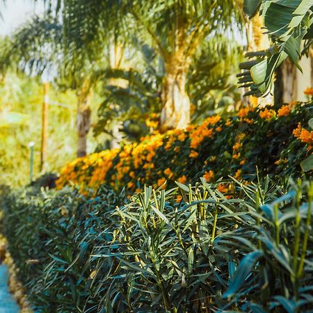 Sierra Blanca Resort Art Of Healing Marbella Exterior foto